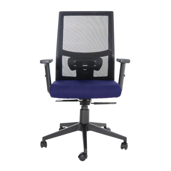Cadeira de Escritório Diretor Ergonômica Flex Mesh Assento Azul Braço e Altura Ajustável