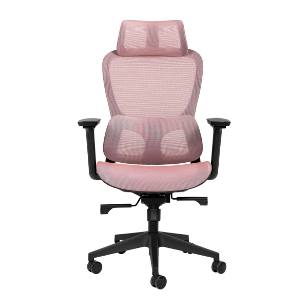 Cadeira de Escritório Ergonômica com Suporte Lombar Em Tela Mesh Rose